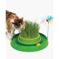 cara mennaam rumput gandum untuk kucing